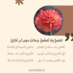 انصح ولا تفضح وعاتب دون أن تجرح