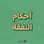 أحكام النفقة