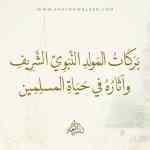 بركات المولد النبوي الشريف